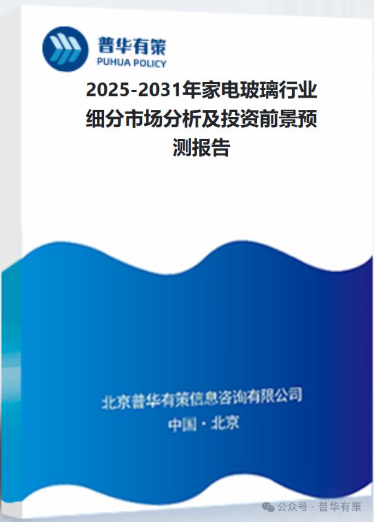 玻璃行业细分市场分析及投资前景预测报告龙